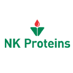 nk logo